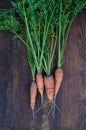 Freshly picked carrots with green tops on wooden background Royalty Free Stock Photo