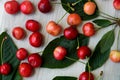 Freshly picked cherries, scattered on a light background Royalty Free Stock Photo