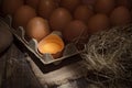 Freshly picked chicken eggs on a rustic background Royalty Free Stock Photo