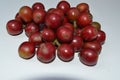 Freshly picked coffee fruit from ooty tamilnadu , india