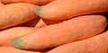 Freshly picked colorful squash Royalty Free Stock Photo