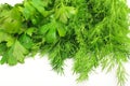 Freshly picked dill and parsley Royalty Free Stock Photo