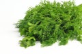 Freshly picked dill and parsley Royalty Free Stock Photo