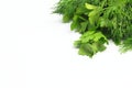 Freshly picked dill and parsley Royalty Free Stock Photo