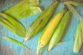 Freshly picked ear of corn, sweet maize cob Royalty Free Stock Photo