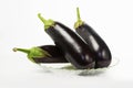 Freshly picked eggplants in a plate with shadow on white Royalty Free Stock Photo