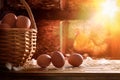 Freshly picked eggs in basket with chicken within henhouse background Royalty Free Stock Photo