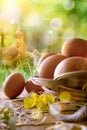 Freshly picked eggs in basket and field with chickens vertical Royalty Free Stock Photo