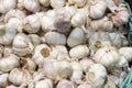 Freshly picked garlic in azure basket on market. Royalty Free Stock Photo