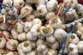Freshly picked garlic in azure basket on market. Royalty Free Stock Photo