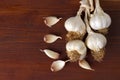 Freshly picked garlic in azure basket on market. Royalty Free Stock Photo