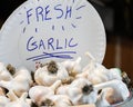 Fresh Garlic with Paper Plate Sign