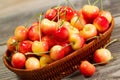 Freshly Picked Golden Rainier Cherries in Basket on Rustic Wood Royalty Free Stock Photo