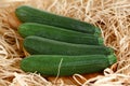 Freshly picked Green zucchin on cutting board and straw. background, texture Royalty Free Stock Photo