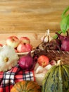 Freshly picked harvest of different autumn vegetables and fruit Royalty Free Stock Photo