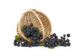 Freshly picked homegrown aronia berries over a white