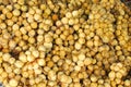 Freshly picked Langsat Royalty Free Stock Photo
