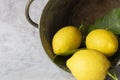 Freshly picked lemons with leaves in a metal bucket. Royalty Free Stock Photo