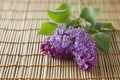 freshly picked lilac cluster on a bamboo door mat