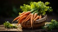 Freshly picked orange carrots in rustic basket, earthy soil backdrop, canon 5d mark iv, f5.6