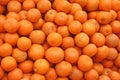 Freshly picked oranges india Royalty Free Stock Photo