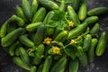 Freshly picked organic cucumber harvest. background, texture.