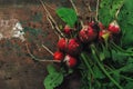 Freshly picked organic red radishes on wooden table Royalty Free Stock Photo