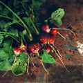 Freshly picked organic red radishes on wooden table Royalty Free Stock Photo