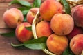 Freshly picked peaches in basket on a brown wooden background. Ripe peaches in basket on wooden table Royalty Free Stock Photo