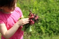 Freshly picked radish in children's hands on a blurred natural background Royalty Free Stock Photo