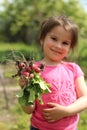 Freshly picked radish in the hands of a little girl in the garden