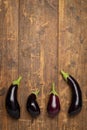 Freshly picked raw eggplants on dark rustic wooden background Royalty Free Stock Photo