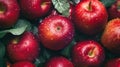 Freshly picked red apples with green leaves with water drops. Top view. Organic local produce Royalty Free Stock Photo