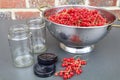 freshly picked red currants in a colander and empty jam jars