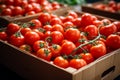 Freshly picked red tomatoes, import batch, neatly arranged in a box