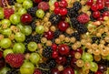 Freshly picked ripe berries: raspberries, blackberries, gooseberries, currants, cherries close-up. A mixture of berries Royalty Free Stock Photo