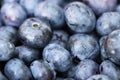 Freshly picked ripe blueberries as background. Fresh blueberry background. Bunch of blueberries Royalty Free Stock Photo