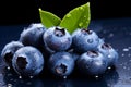 Freshly picked ripe blueberry on vibrant blue background high quality isolated image