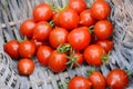 Freshly picked ripe tomatoes in the corner of a basket Royalty Free Stock Photo