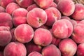 Freshly picked ripe white flash peaches