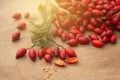 Freshly picked rose hips on the wooden table. Rose hip commonly known as rose hip Rosa canina Royalty Free Stock Photo