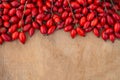 Freshly picked rose hips on the wooden table. Rose hip commonly known as rose hip Rosa canina Royalty Free Stock Photo