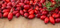 Freshly picked rose hips on the wooden table. Rose hip commonly known as rose hip Rosa canina Royalty Free Stock Photo