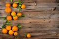 Freshly picked tangerine fruits.