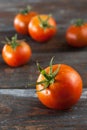 Freshly Picked Tomatoes Royalty Free Stock Photo