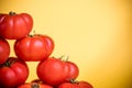 Freshly picked tomatoes piled Royalty Free Stock Photo