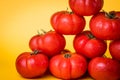 Freshly picked tomatoes piled Royalty Free Stock Photo