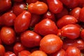 Freshly Picked and Washed Roma Tomatoes Royalty Free Stock Photo