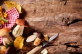 Freshly picked wild autumn mushrooms