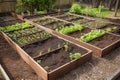 freshly planted garden, with newly germinated seeds and sprouts visible